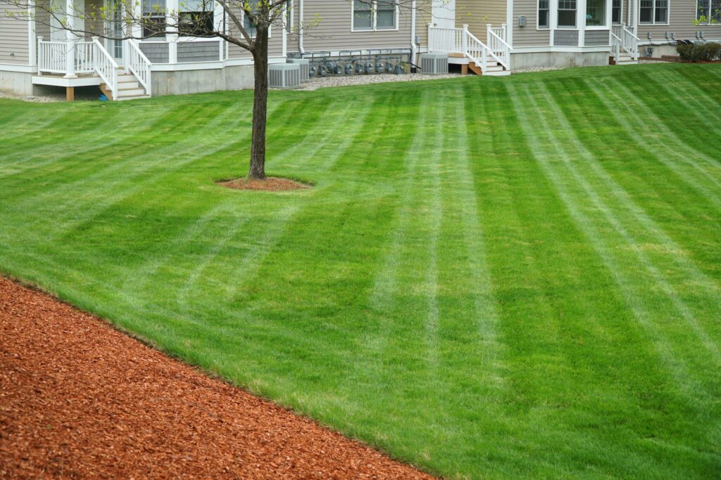 Lawn Maintenance for Property Management